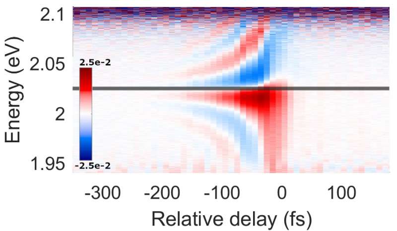 Ultrashort pulses of light proven indistinguishable from continuous illumination