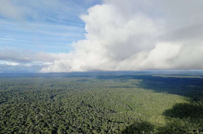 Unchecked climate change will cause severe drying of the Amazon forest
