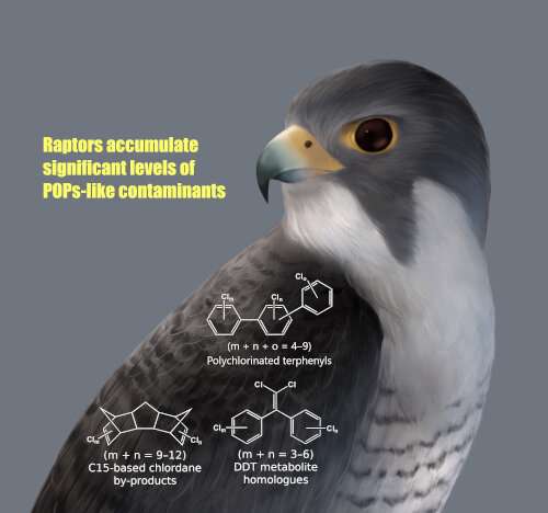 Uncommon byproducts of organochlorine pesticides found in the liver of raptors