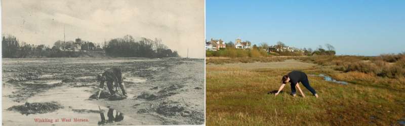 Uncovered: 100 years of coastal transformation on Mersea Island