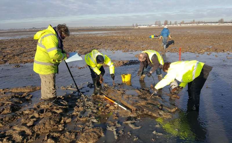 Uncovered: 100 years of coastal transformation on Mersea Island