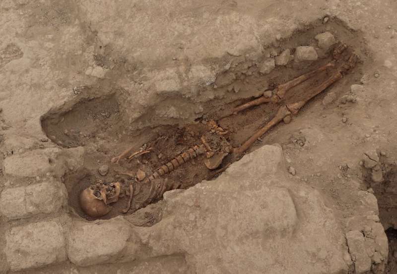 Undated handout picture released by the Royal Tombs of Sipan Museum of one of the 29 human remains discovered at an ancient cere