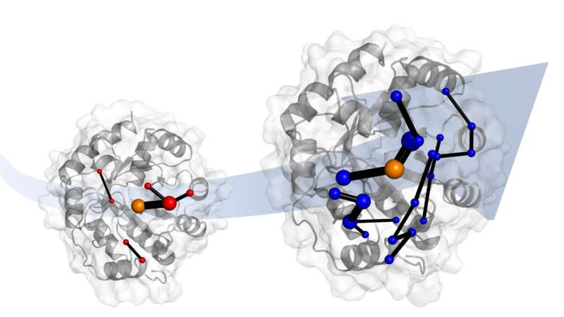 Understanding enzyme evolution paves the way for green chemistry