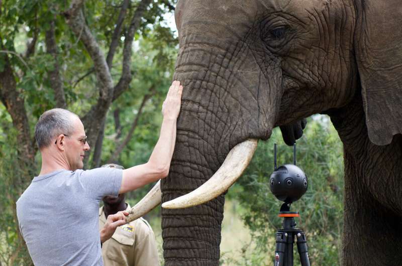 Understanding how elephants use their trunk