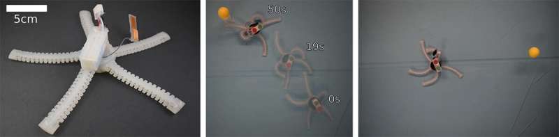 Underwater soft robot inspired by the brittle star