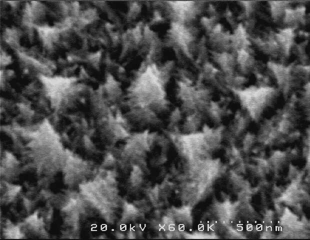 Unique Christmas-tree-shaped palladium nanostructures for ascorbic acid oxidation
