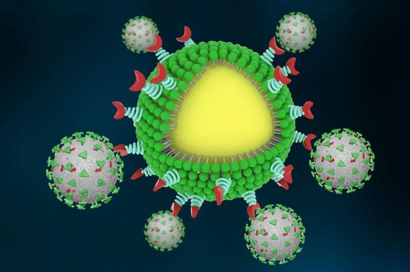University of Chicago scientists design &quot;Nanotraps&quot; to catch, clear coronavirus