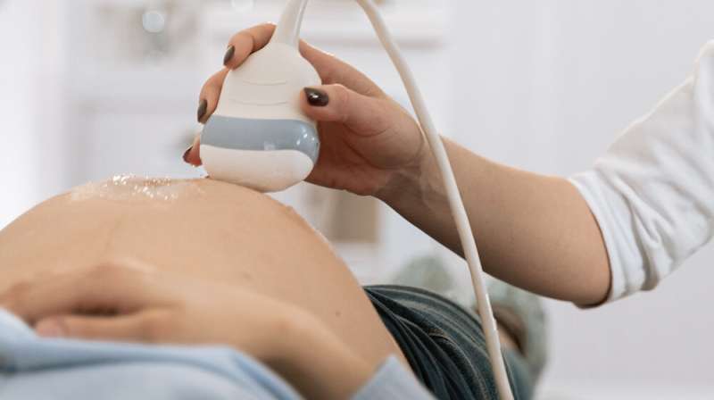 University of Minnesota Medical School identifies placental protein as possible birthweight regulator