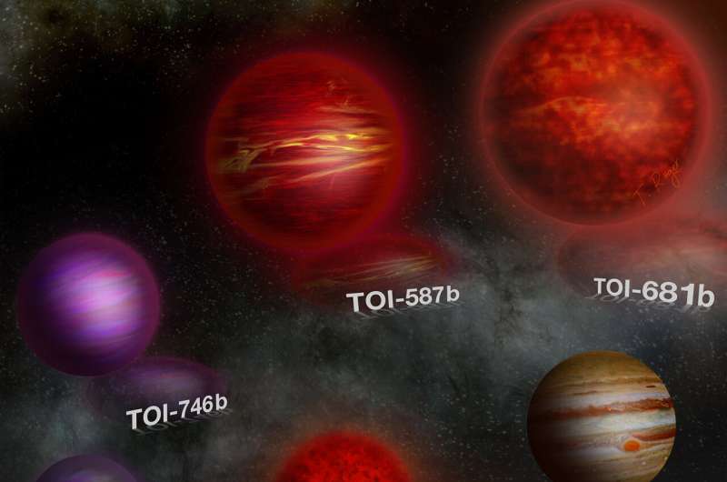 Unravelling the mystery of brown dwarfs