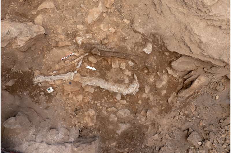 Upper Paleolithic human remains found at the Cova Gran de Santa Linya site