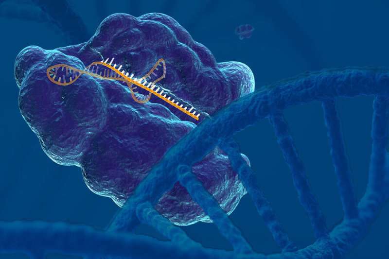 将CRISPR作为研究工具来开发癌症治疗方法