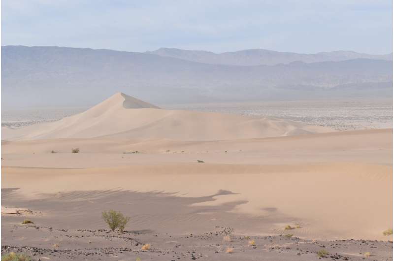 Using dunes to interpret wind on Mars
