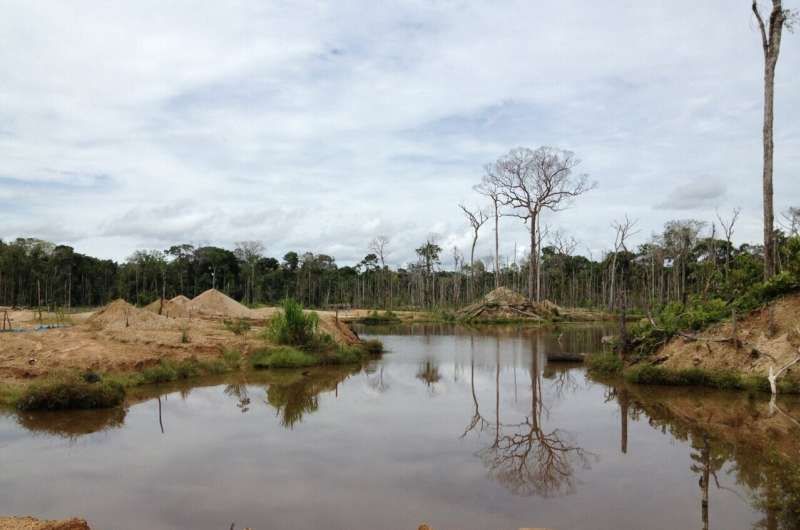 UW researchers investigate mining-related deforestation in the Amazon