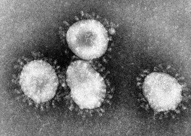 Vaccine wars escalate as new antibody escape variants raise the bar