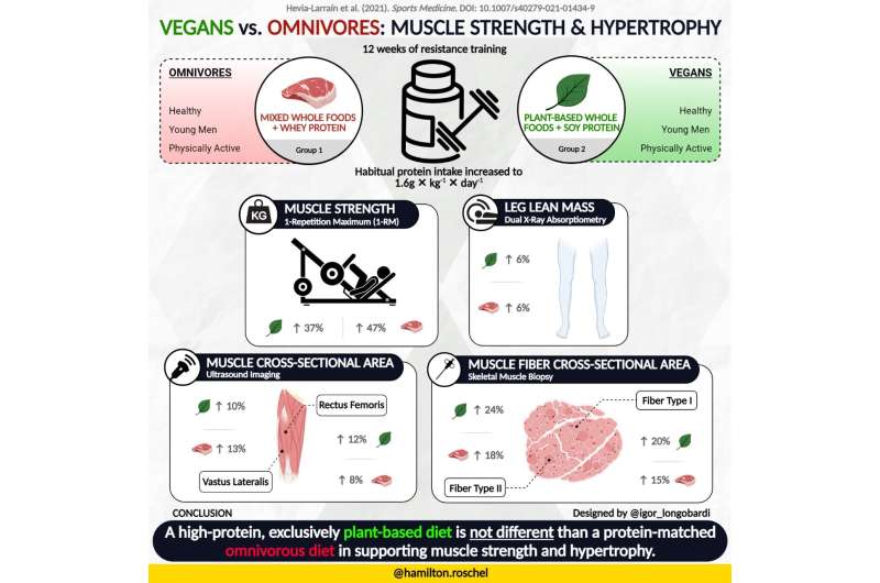Vegan and omnivorous diets promote equivalent muscle mass gain, study shows