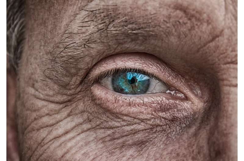Vision loss due to AMD: discovery of a blood biomarker to assess the diet-related risk