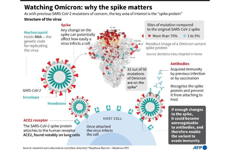 Watching Omicron: why the spike matters