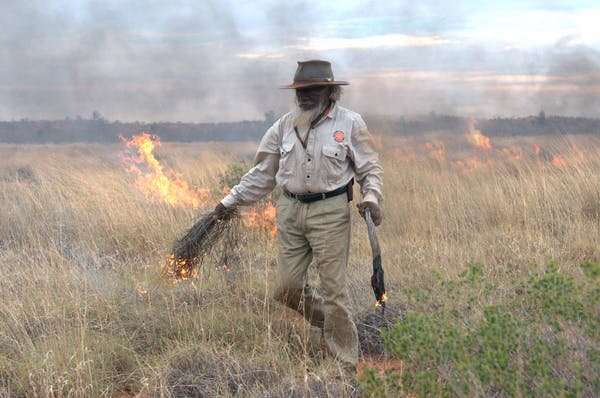 ما ناظران حرفه ای آتش سوزی هستیم و از مقیاس آتش سوزی در دوردست استرالیا در حال حاضر شگفت زده شده ایم.