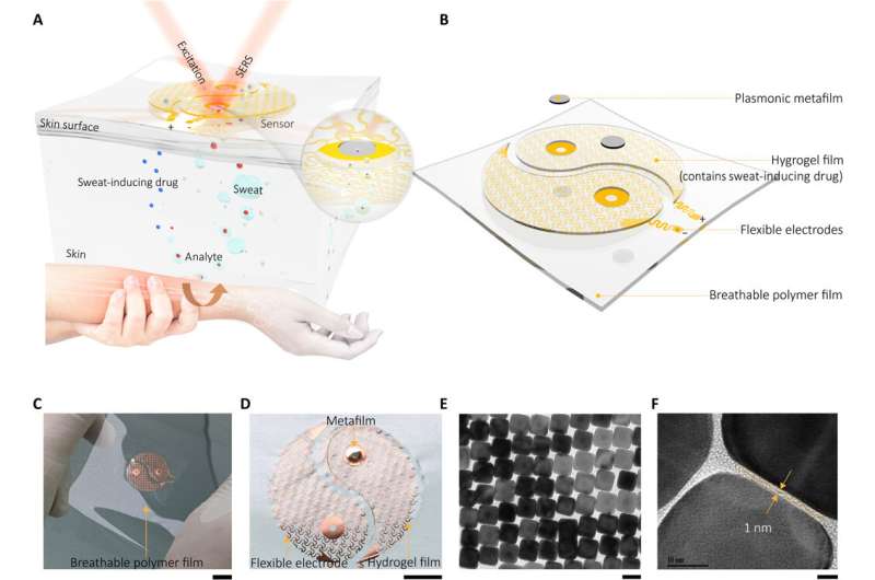 Wearable plasmonic-metasurface sensor for universal molecular fingerprint detection on biointerfaces