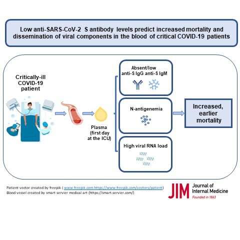 What level of antibody response protects against COVID-19 death?