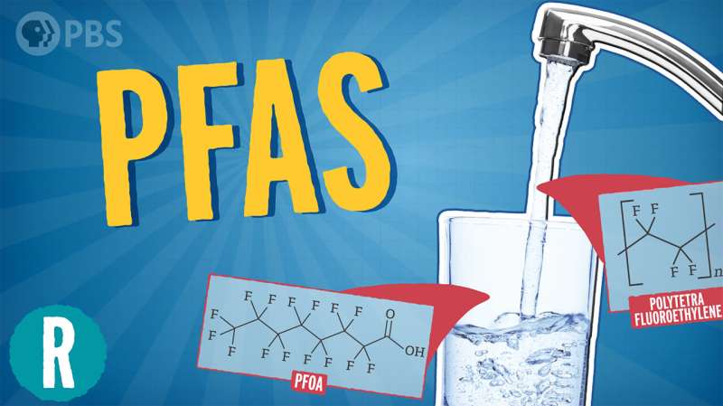 What are forever chemicals, and do they last forever? (video)