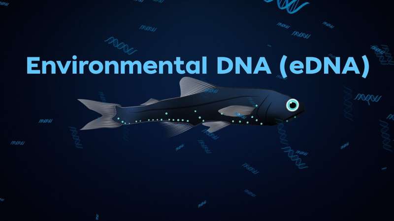 What's down there? WHOI study shows environmental DNA is a reliable way to learn about migration from the ocean twilight zone