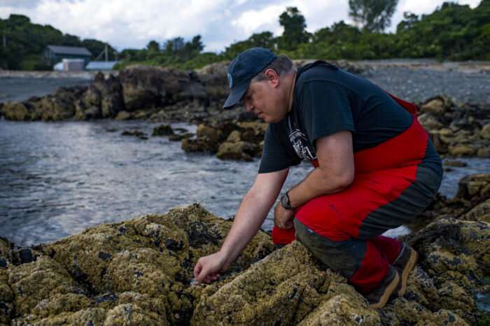 When a heat wave comes, this scientist takes a shellfish’s perspective
