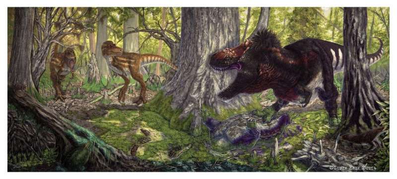 When tyrannosaurs dominated, medium-sized predators disappeared