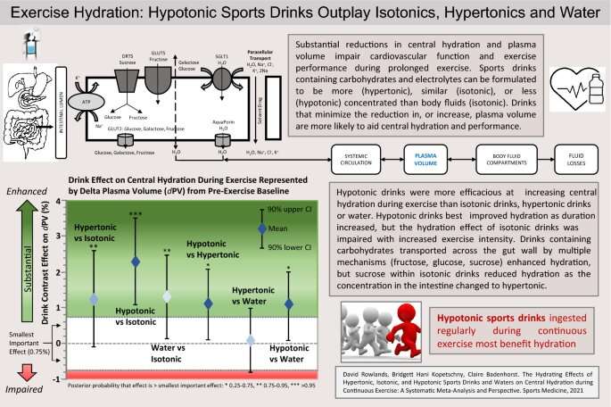 Which sports drinks are best for hydration?