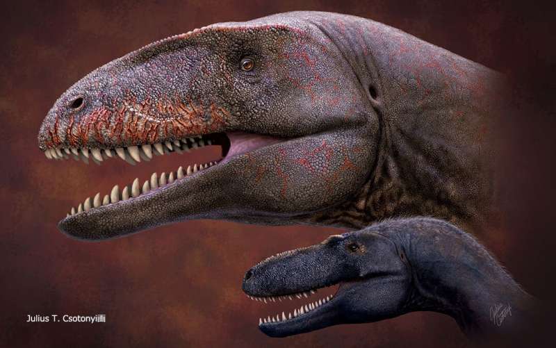 Who was king before tyrannosaurus? Uzbek fossil reveals new top dino