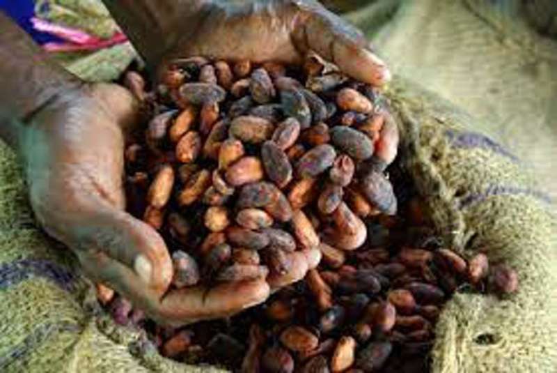 Why efforts by Côte d’Ivoire and Ghana to help cocoa farmers haven’t worked