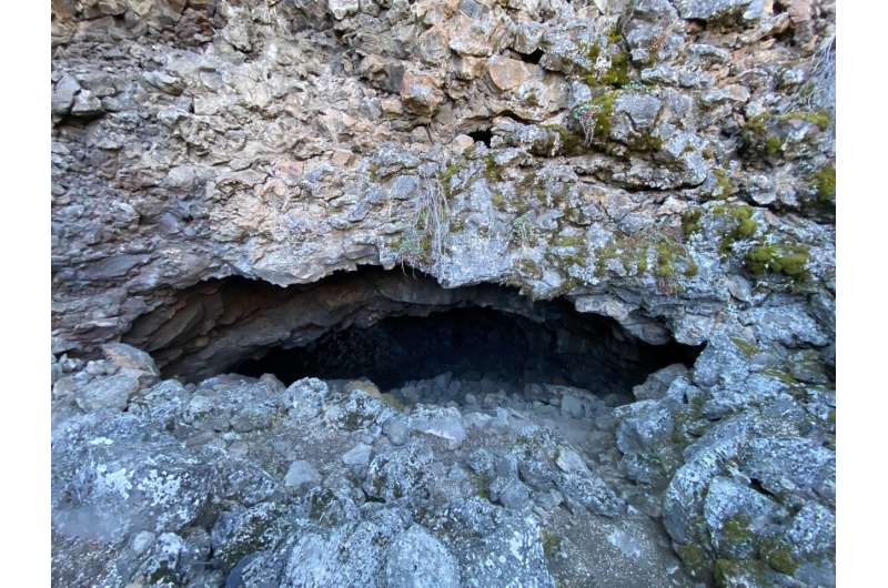 Wildfires affect cave diversity underneath scorched surfaces