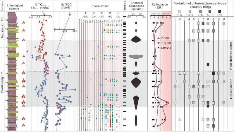 Wildfires during Permian-Triassic transition caused vegetation changeover on terrestrial ecosystem