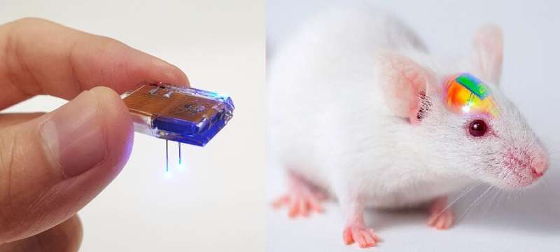 Wirelessly rechargeable soft brain implant controls brain cells