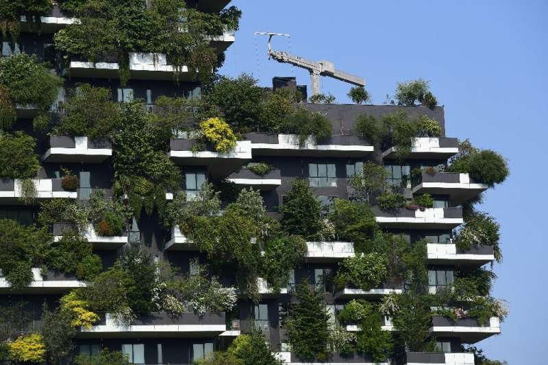 With trees spilling over apartment balconies, Milan's Bosco Verticale is a forest in the sky