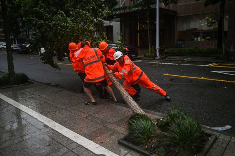 Workers attempt to remove a fallen tree as winds from Typhoon In-Fa start to affect Ningbo