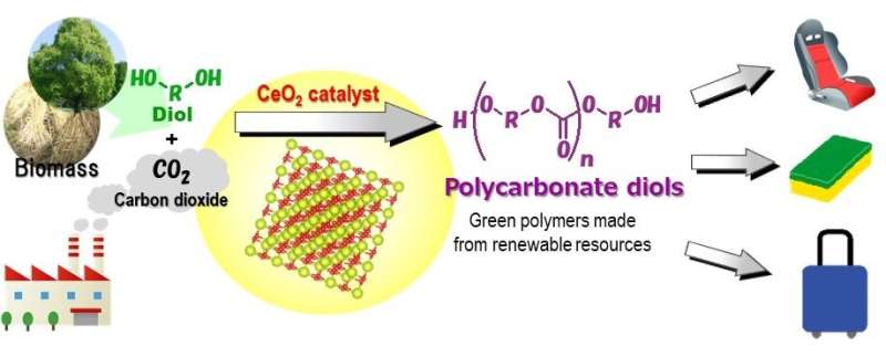 World’s first “green” synthesis of plastics from CO2