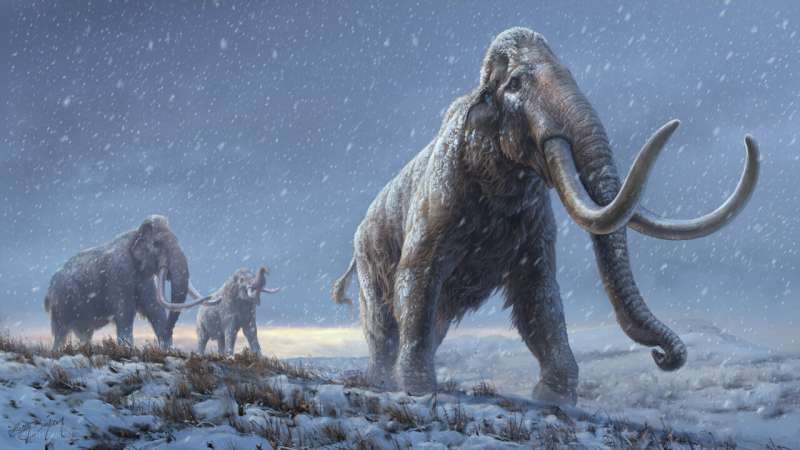 World's oldest DNA reveals how mammoths evolved