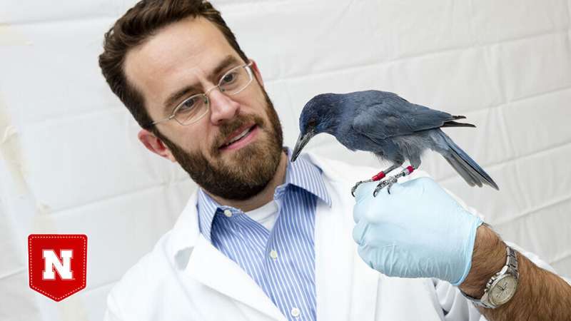 Worldwide study finds differences in avian fear of the unknown