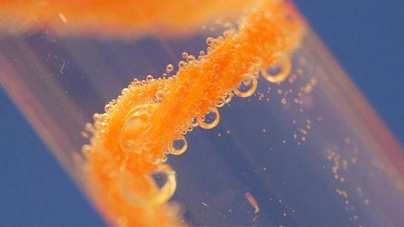 Yarns coated with enzymes can act as filters