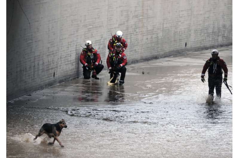 2 people, dog rescued from river as storm douses California
