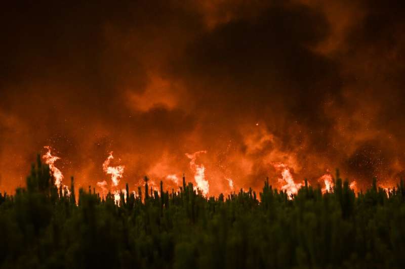 2021 was one of the worst years for forest fires since the turn of the century