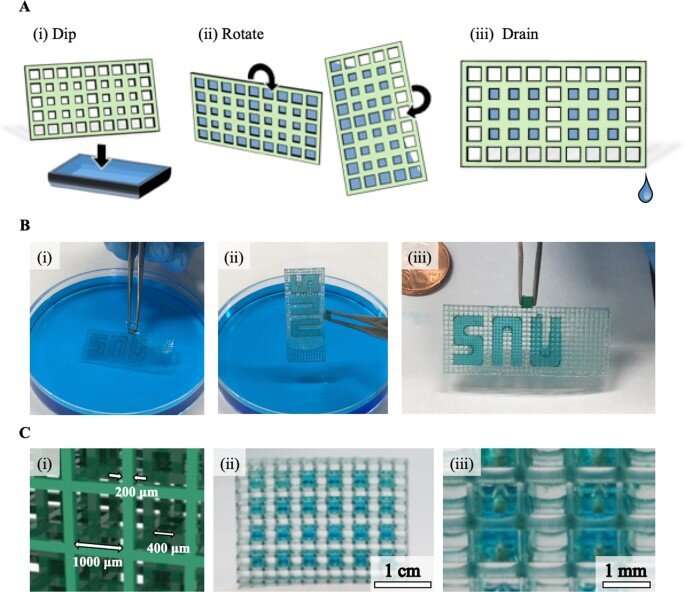 3-D micromesh-based hybrid printing for 3-D microtissue engineering