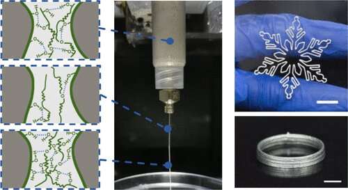 Impression 3D de vêtements intelligents avec une nouvelle encre liquide à base d'alginate de métal