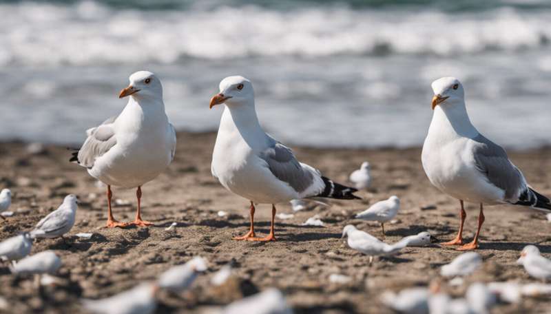 4 facts about seagulls that will make you love these relentless chip thieves