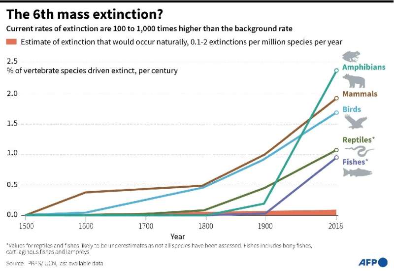6th mass extinction?