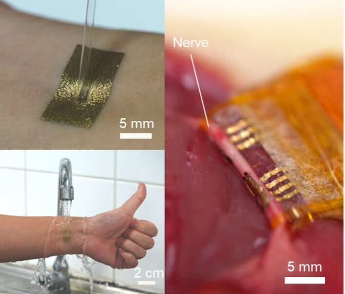 A 1.3-micrometre-thin elastic conductor for wearable and implantable devices