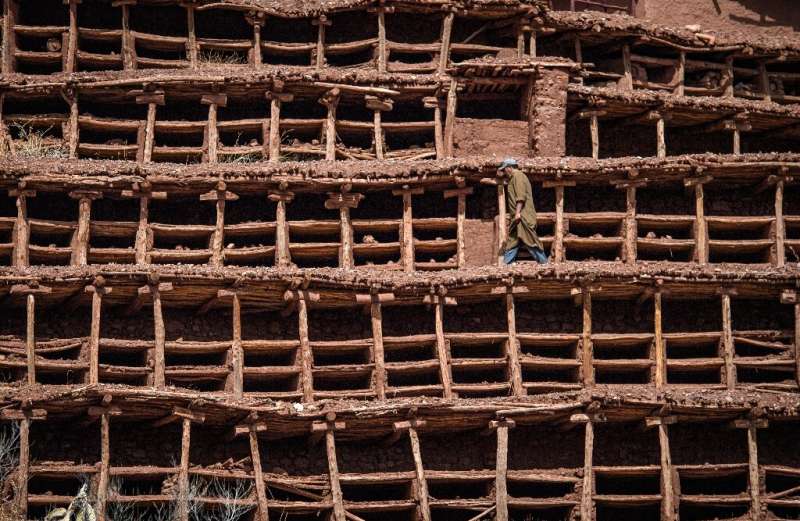 Un apicultor trabaja en el colmenar de Inzerki: una estructura de cinco pisos de puntales de madera y barro seco que se extiende a lo largo de una ladera