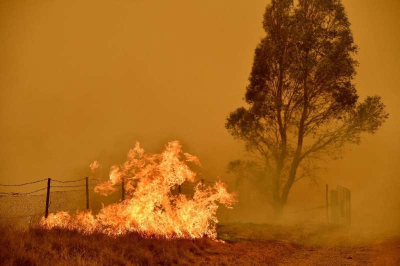 A bushfire burns near Canberra in February 2020. Climate change has increased the fire threat