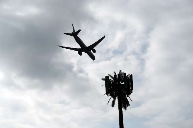 A cellular tower disguised as a palm tree at Los Angeles International Airport is pictured in January 2022 as aviation regulator